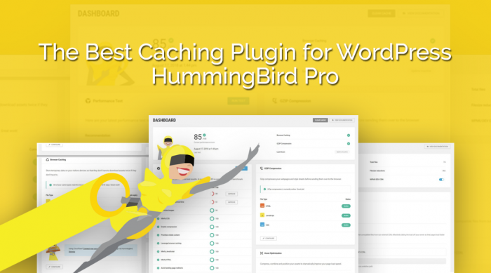 Hummingbird WordPress Plugin