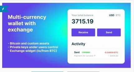 Bitcoin, Ethereum, ERC20 crypto wallets with exchange