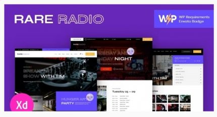 Rare Radio Online Music Radio Station & Podcast WordPress Theme