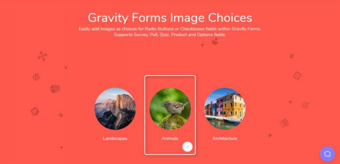 Jetsloth – Gravity Forms Image Choices