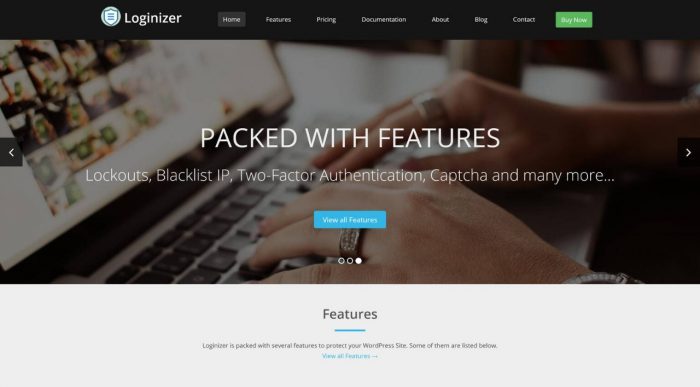 Loginizer Security Pro - WordPress Plugin