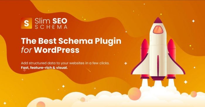 Slim SEO Schema (Premium) - WordPress Plugin