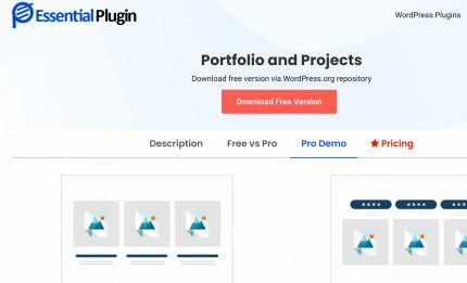 Portfolios And Projects Pro By WpOnlineSupport