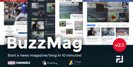 BuzzMag – Viral News WordPress Magazine/Blog Theme