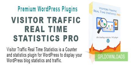 Visitor Traffic Real Time Statistics pro
