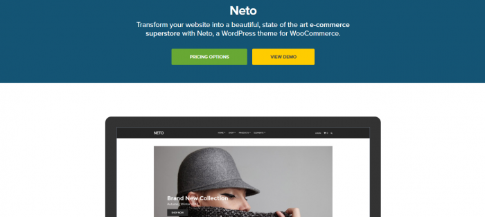 CSS Igniter Neto WooCommerce Theme