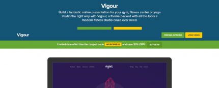 CSS Igniter Vigour WordPress Theme