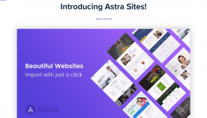 Astra Premium Starter Sites