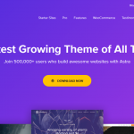 Astra Theme + Astra Pro Addon + Agency Sites