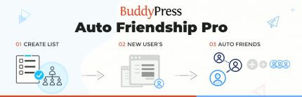 BuddyPress Auto Friendship Pro - BuddyPress Plugins