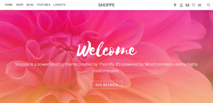Themify Shoppe – Multi-Purpose WooCommerce Theme