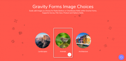 Jetsloth – Gravity Forms Image Choices