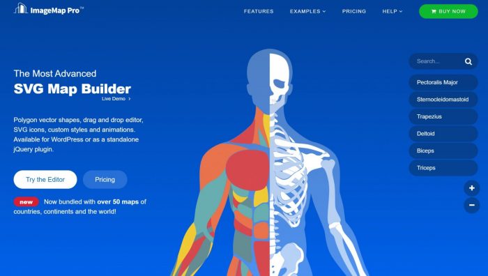 Image Map Pro For WordPress – SVG Map Builder