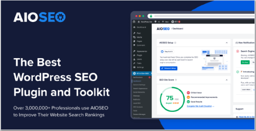 AIOSEO – Local Business