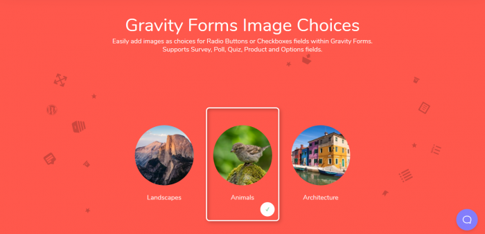 Jetsloth – Gravity Forms Image Choices