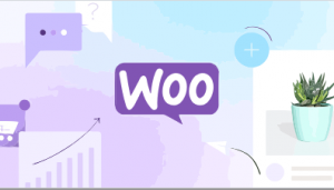 WooCommerce Aweber Newsletter