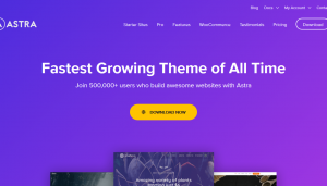 Astra Theme + Astra Pro Addonns + Agency Sites