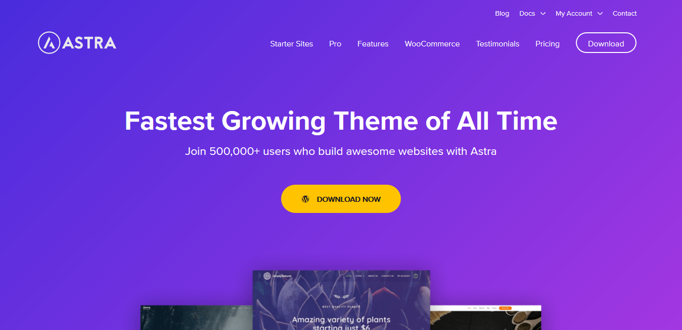 Astra Theme + Astra Pro Addonns + Agency Sites