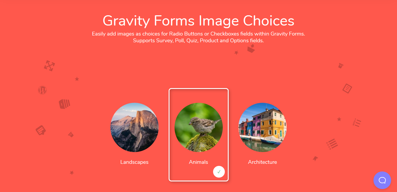 Jetsloth – Gravity Forms Image Choices – CreativeSea