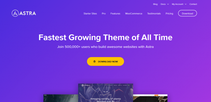 Astra Theme + Astra Pro Addon + Agency Sites