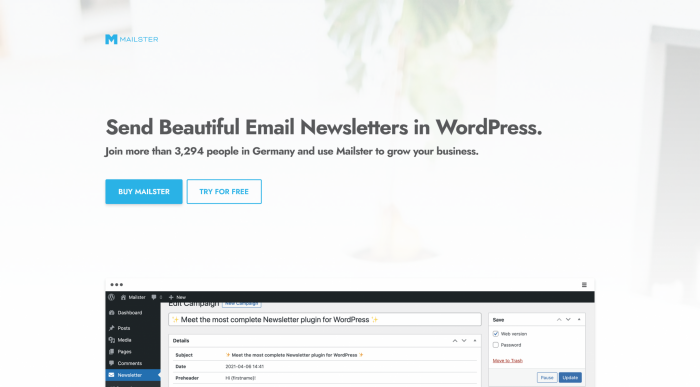 Mailster – Email Newsletter Plugin