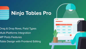 Ninja Tables Pro – WP DataTables Plugin