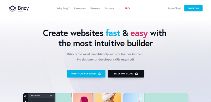 Brizy Pro – WordPress Page Builder