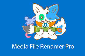 Media File Renamer (Pro)