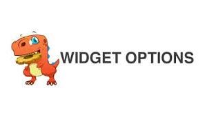 Widget Options – Extended