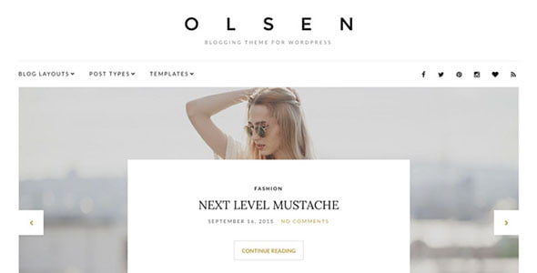 Olsen Pro – WordPress Theme