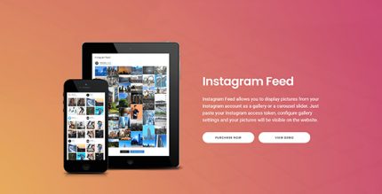 Instagram Feed PRO