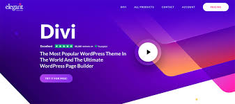 Divi WordPress Theme