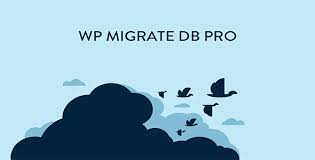 WP Migrate Pro