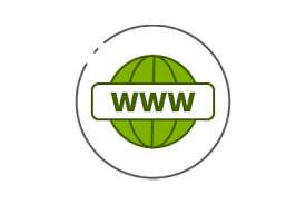 MainWP Domain Monitor