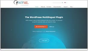 WPML Advanced Custom Fields Multilingual