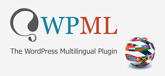 WPML String Translation Addon