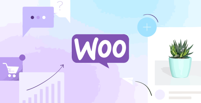 WooCommerce AutomateWoo