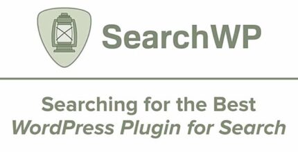 SearchWP WPML Integration