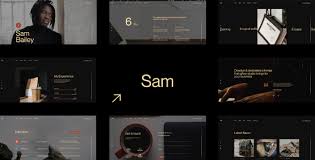 Sam Bailey – Personal CV/Resume WordPress Theme