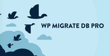 WP Migrate Pro