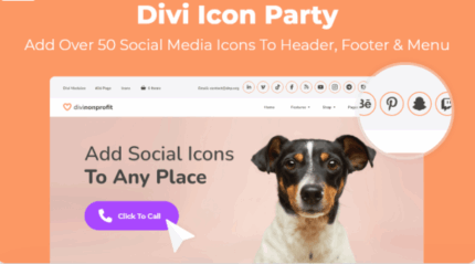 Divi Icon Party
