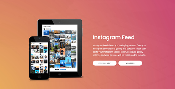 Instagram Feed PRO – by Quadlayers