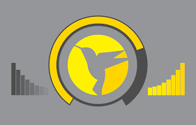 WPMU DEV Hummingbird Pro