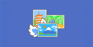 Meow Gallery (Pro)