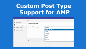 AMP Custom Post Type
