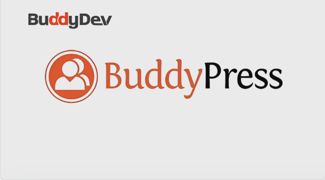 Recent Profile Visitors